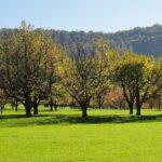 11.09.2021 - Radfahrverein Bodelshausen