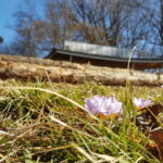 Mit dem Rietheimer Albverein ins Himmelreich - der Dritte Versuch