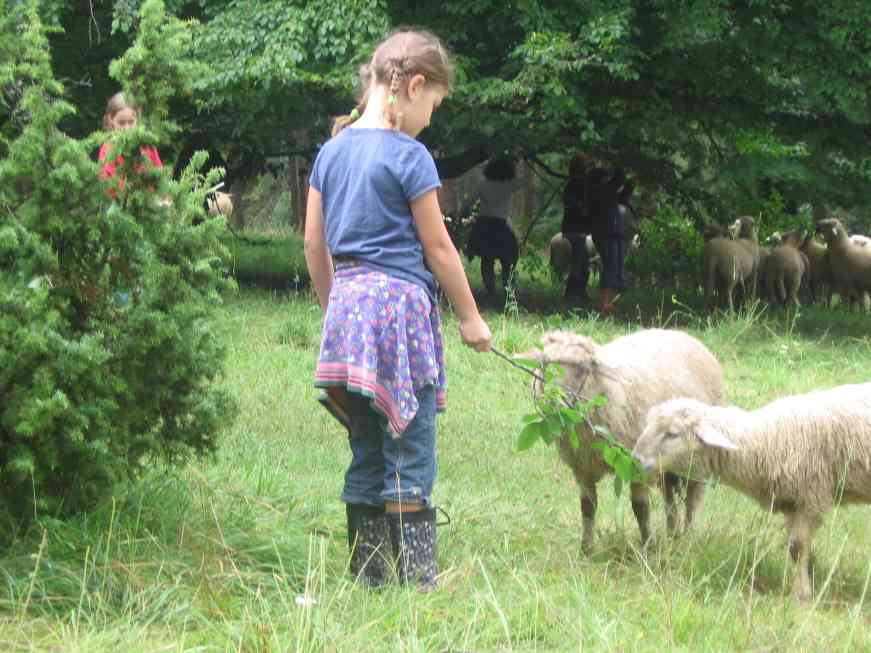 Nomadenwoche - Sommerferienprogramm mit Reitangebot für Kinder