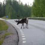Unterwegs in fremden Kulturen Schweden - Land der Mitternachtssonne
