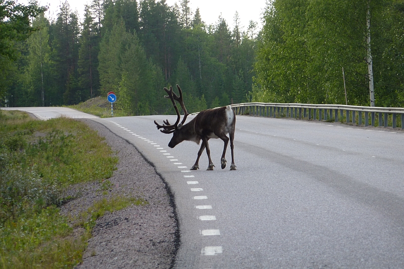 Unterwegs in fremden Kulturen Schweden - Land der Mitternachtssonne