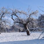 Winterwanderung am 12.02.2023