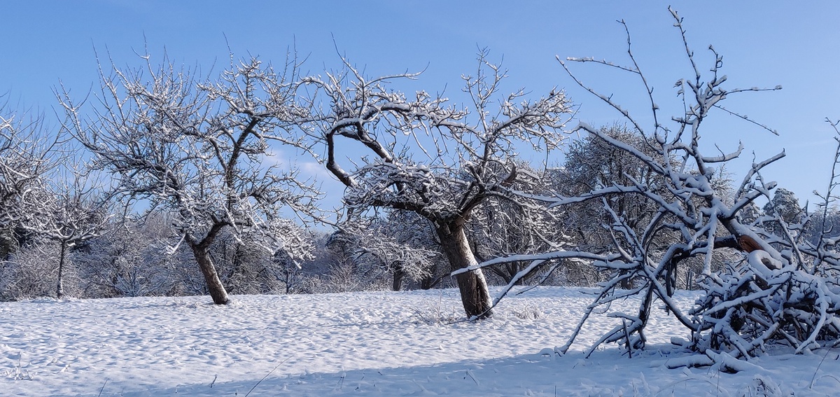 Winterwanderung am 12.02.2023