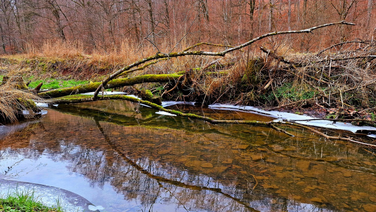 Seniorenwanderung Rund um Ohmenhausen