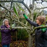 Endspurt im Gartenjahr!