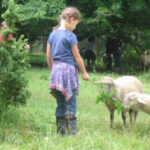 Wollwoche in der ArcheSchäferei - Osterferienkurs für Kinder in und um Bronnweiler